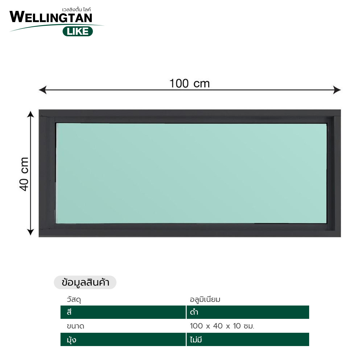 WELLINGTAN (LIKE) ช่องแสงอะลูมิเนียม 100 x 40 ซม. สีดำ