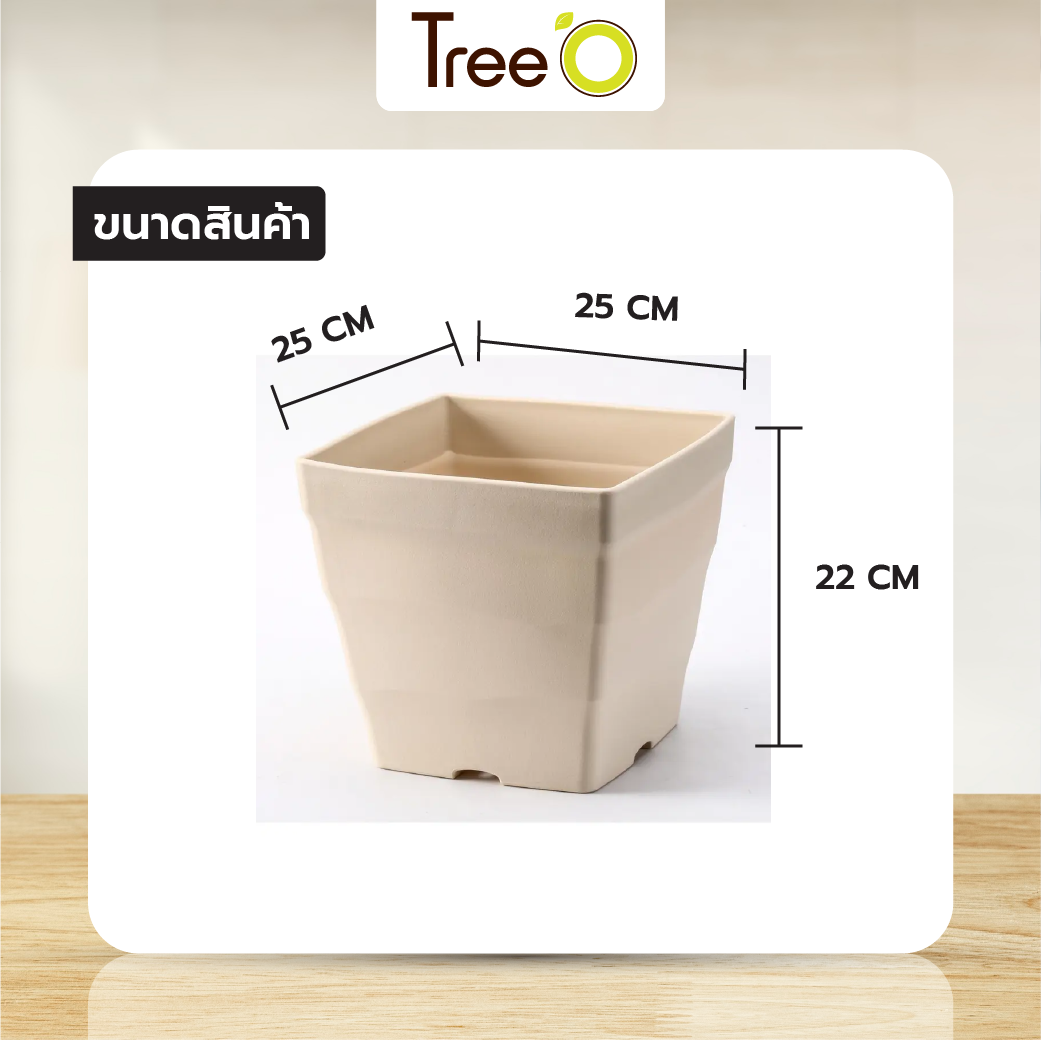 Tree‘O กระถางต้นไม้ทรงสี่เหลี่ยม รุ่น6PY015-BE ขนาด25x22ซม. (10นิ้ว) สีน้ำตาลอ่อน