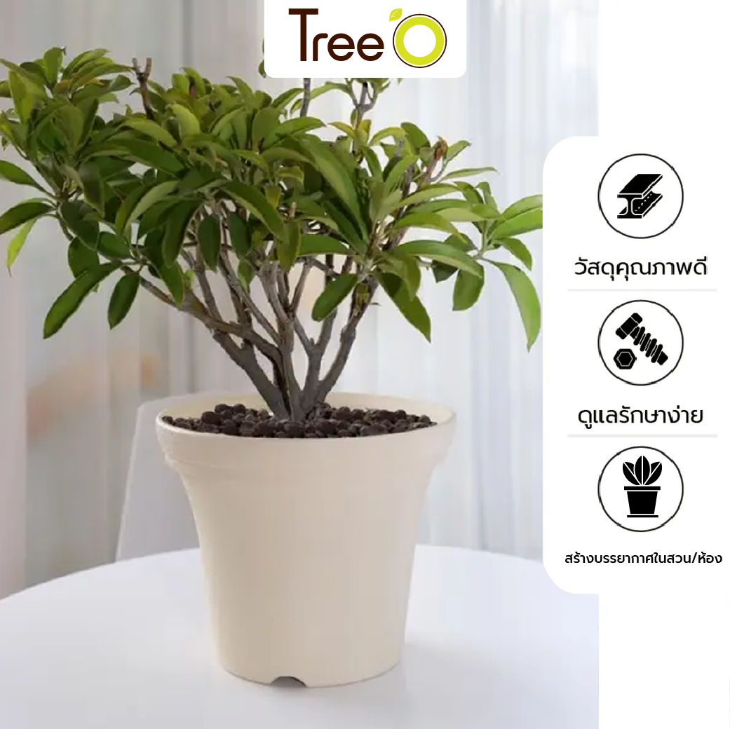 Tree  O กระถางต้นไม้ รุ่น 6PY020-BE ขนาด 30 x 30 x 24 ซม. (12นิ้ว) สีน้ำตาลอ่อน