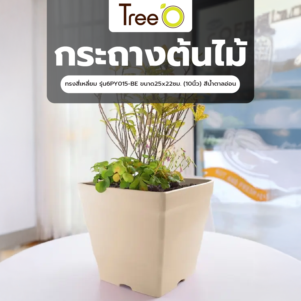 Tree‘O กระถางต้นไม้ทรงสี่เหลี่ยม รุ่น6PY015-BE ขนาด25x22ซม. (10นิ้ว) สีน้ำตาลอ่อน