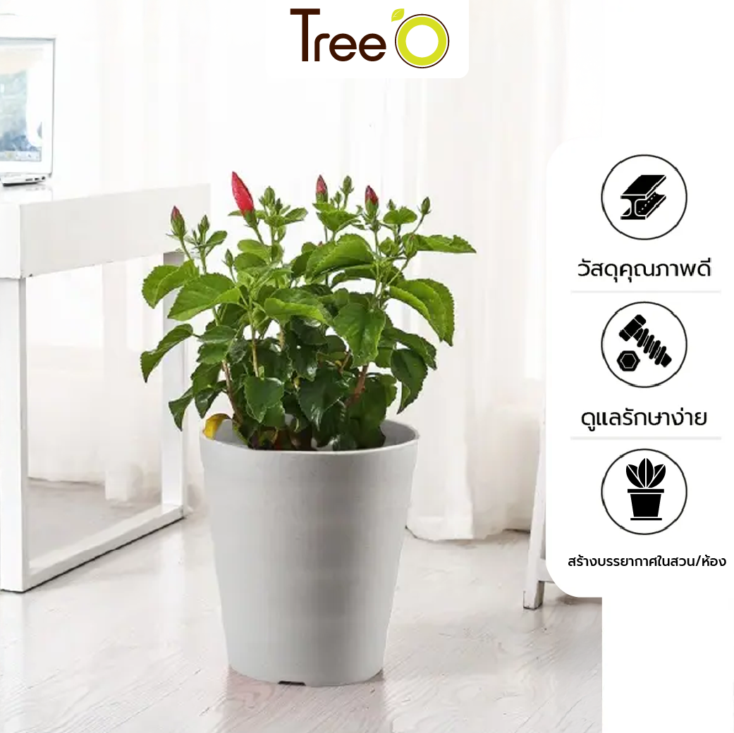 Tree‘O กระถางต้นไม้อัจฉริยะ รุ่น6PY065-GY ขนาด16x16ซม.(6นิ้ว) สีเทา