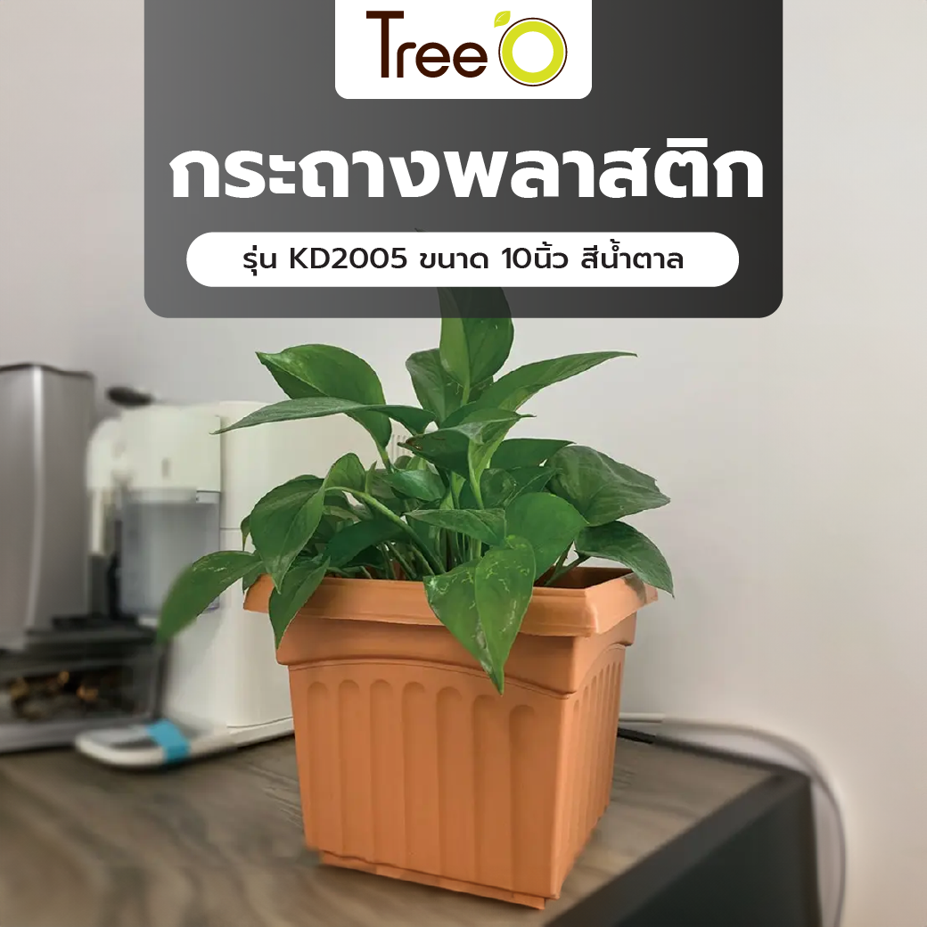 Tree O กระถางพลาสติก  รุ่น KD2005 ขนาด 10นิ้ว สีน้ำตาล