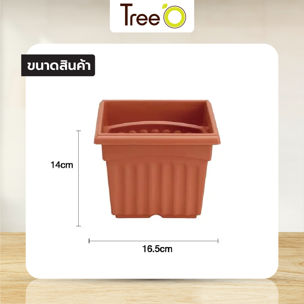 Tree O กระถางพลาสติก สี่เหลี่ยม รุ่น KD4001 ขนาด 6นิ้ว สีอิฐ