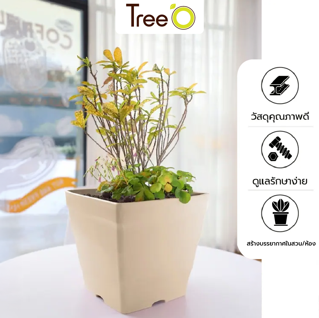 Tree‘O กระถางต้นไม้ทรงสี่เหลี่ยม รุ่น6PY015-BE ขนาด25x22ซม. (10นิ้ว) สีน้ำตาลอ่อน