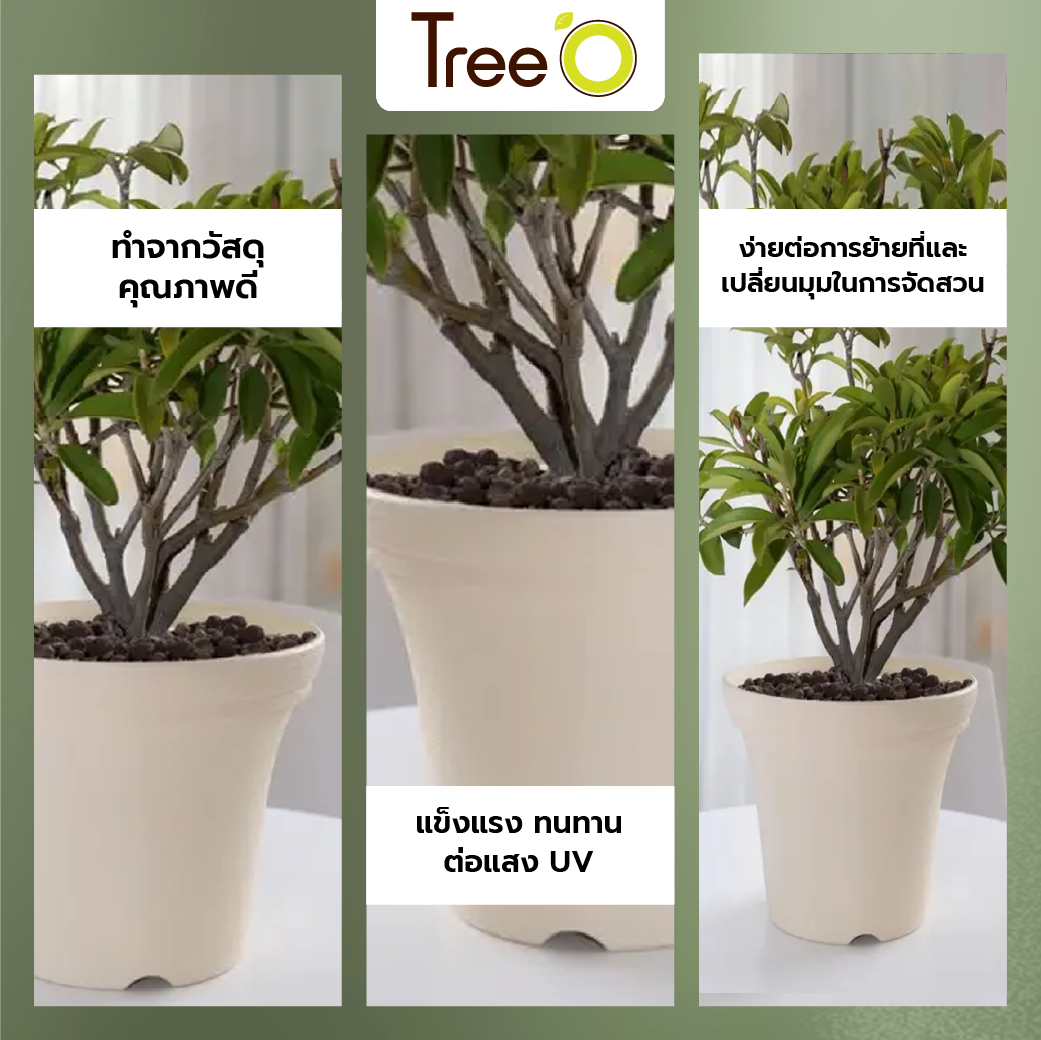 Tree  O กระถางต้นไม้ รุ่น 6PY020-BE ขนาด 30 x 30 x 24 ซม. (12นิ้ว) สีน้ำตาลอ่อน