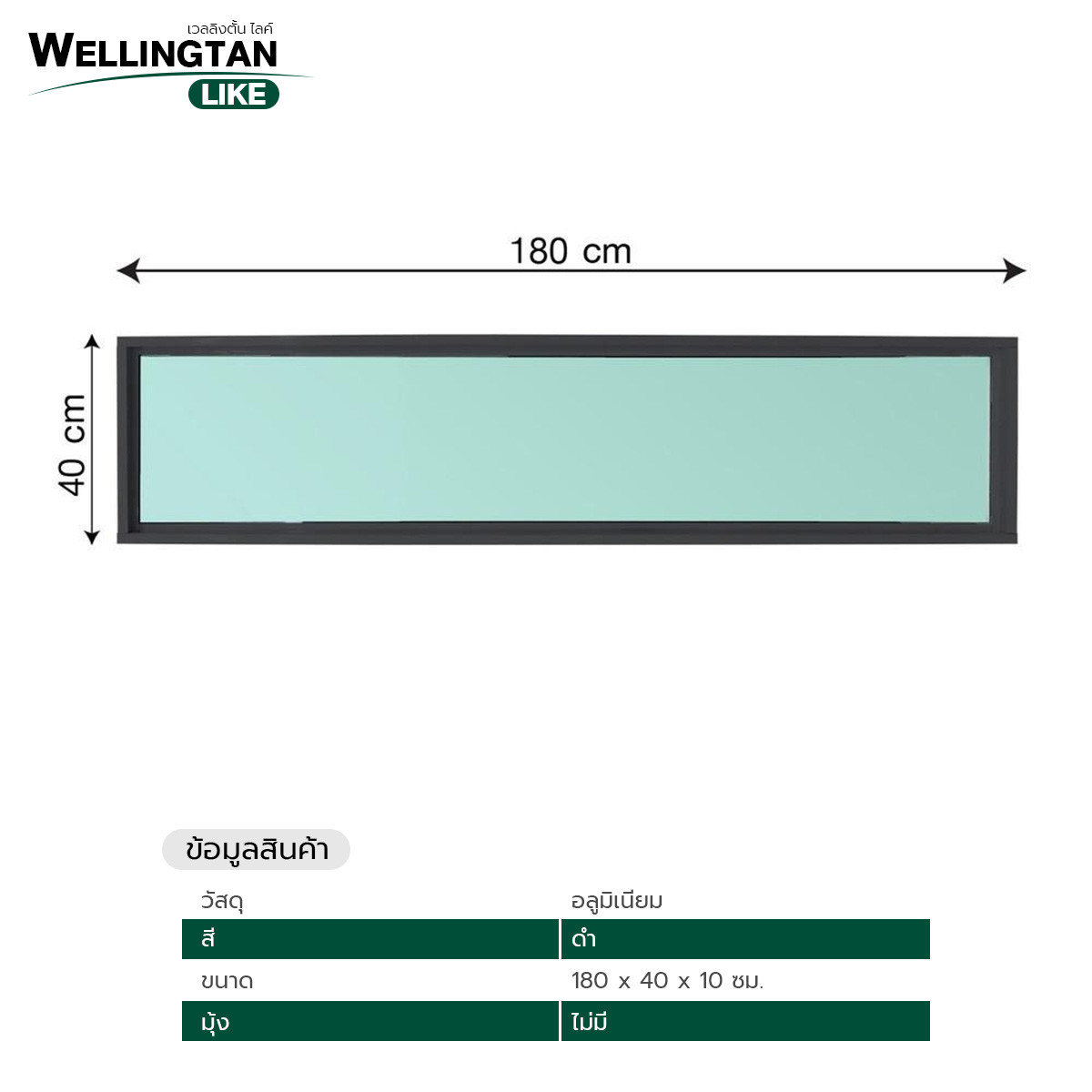 WELLINGTAN (LIKE) ช่องแสงอะลูมิเนียม 180 x 40 ซม. สีดำ