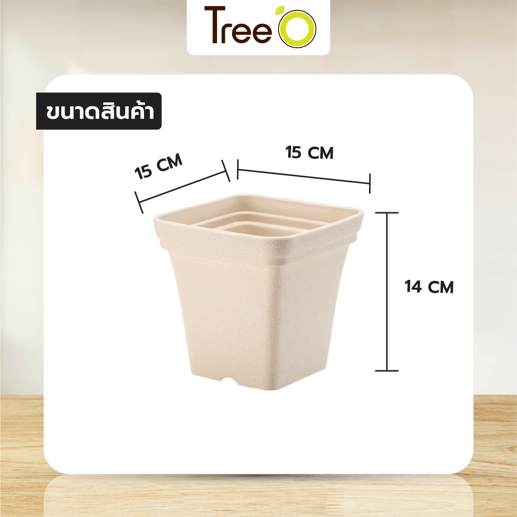 Tree  O กระถางต้นไม้ รุ่น 6PY022-BE ขนาด 15 x 15 x 14 ซม. (6นิ้ว) สีน้ำตาลอ่อน