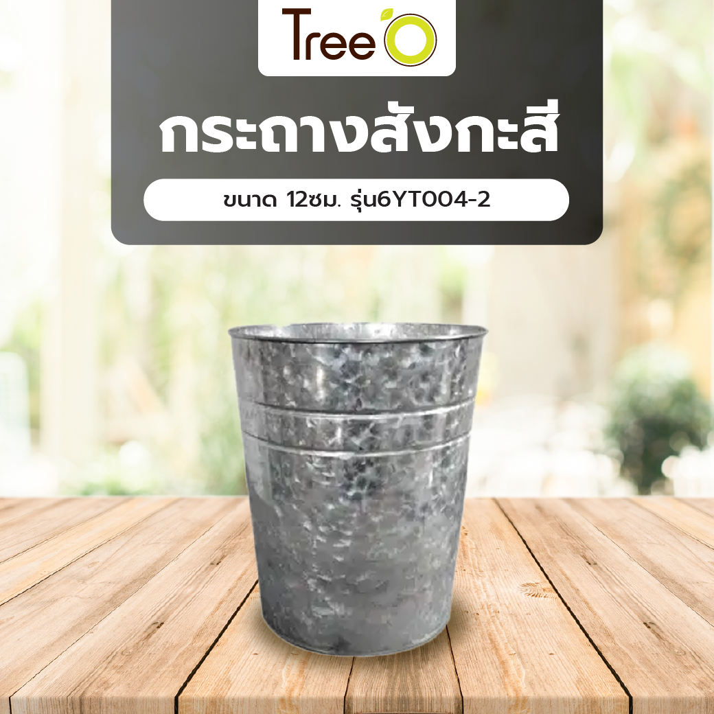 Tree O กระถางสังกะสี ขนาด 12ซม. รุ่น6YT004-2