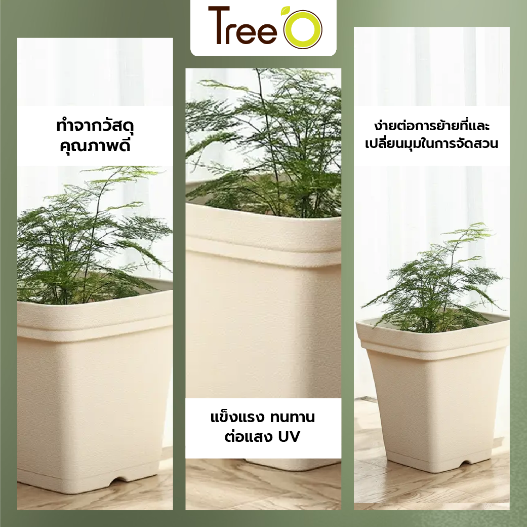 Tree  O กระถางต้นไม้ รุ่น 6PY022-BE ขนาด 15 x 15 x 14 ซม. (6นิ้ว) สีน้ำตาลอ่อน