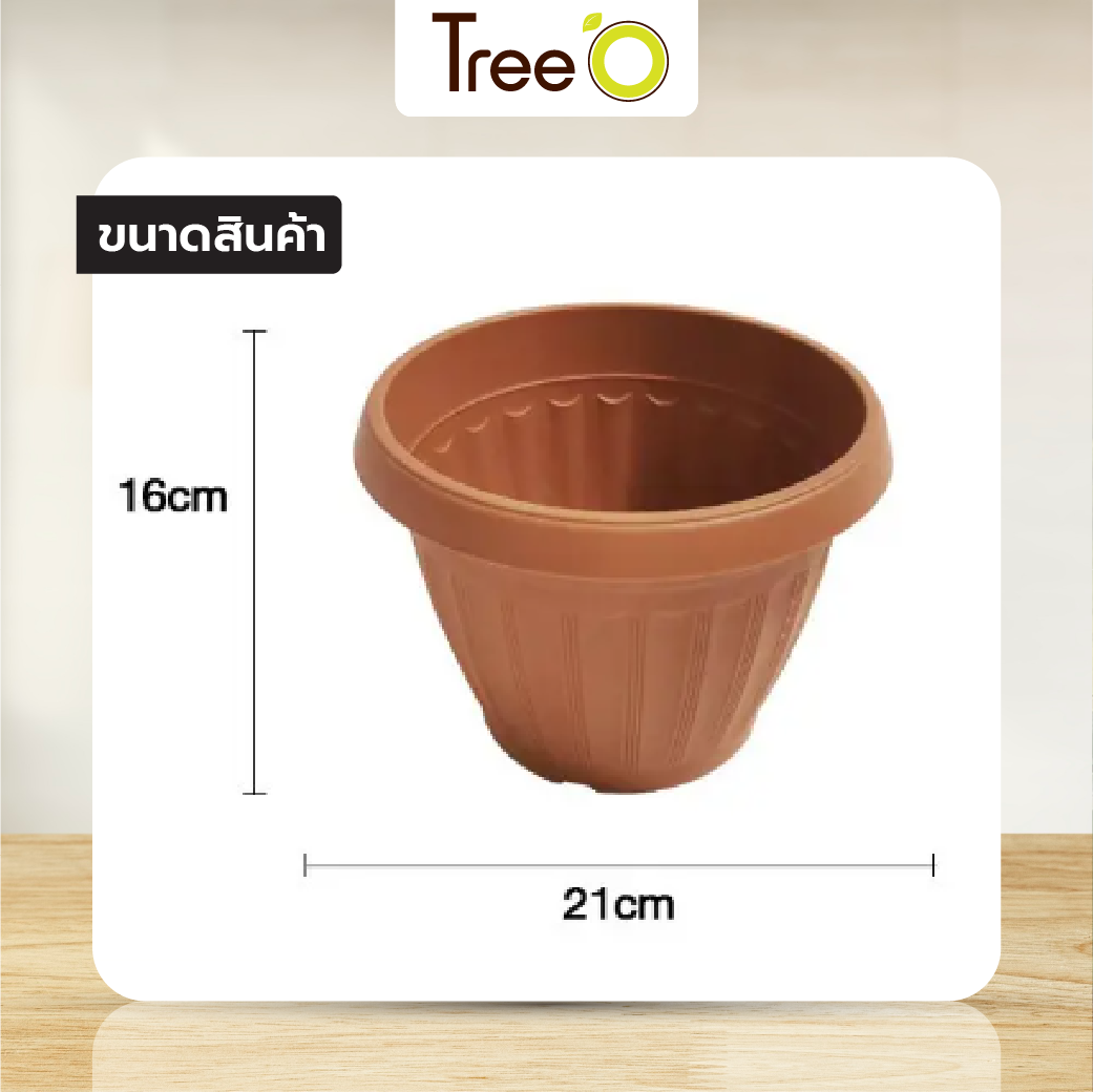 Tree O กระถางพลาสติก  รุ่น KD2003 ขนาด 8นิ้ว สีน้ำตาล