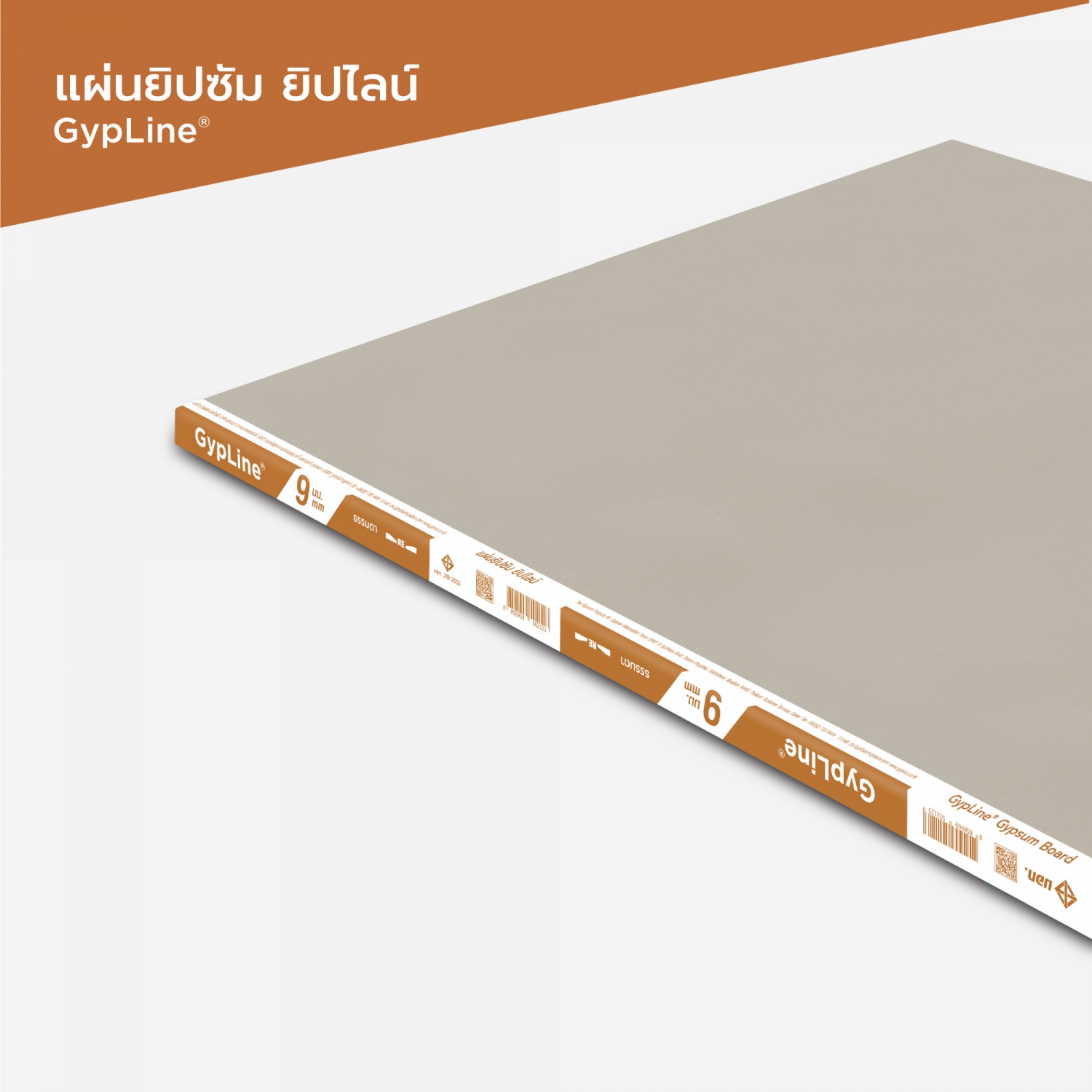 ยิปไลน์ ยิปซั่มบอร์ด ชนิดธรรมดา 9มม.x120x240 ซม. ขอบลาด