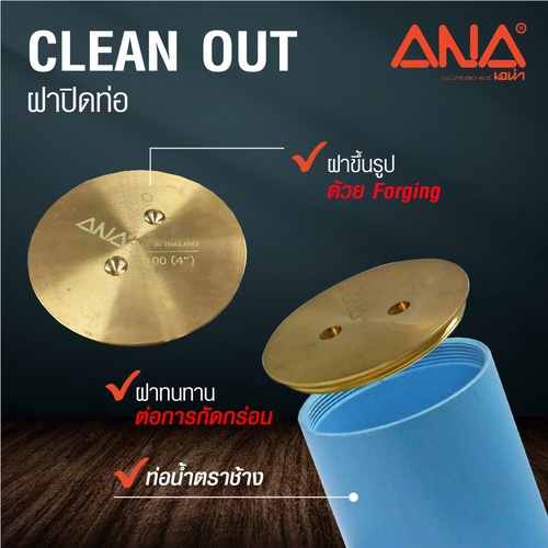 ANA ชุดฝาส้วม clean out+ท่อ PVC รุ่น Clean Out ขนาด 2 1/2 นิ้ว สีทอง