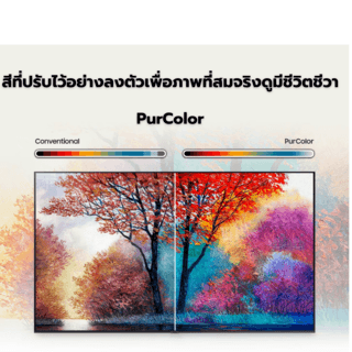 SAMSUNG โทรทัศน์ CRYSTAL UHD ขนาด 55 นิ้ว รุ่น UA55CU8100KXXT สีดำ