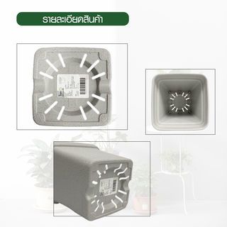 Tree  O กระถางต้นไม้ รุ่น 6PY022-WH ขนาด 15 x 15 x 14 ซม. (6นิ้ว) สีขาว