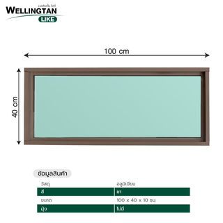 WELLINGTAN (LIKE) ช่องแสงอะลูมิเนียม 100 x 40 ซม. สีชา