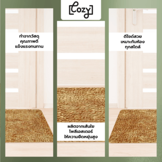 COZY พรมเช็ดเท้า 50×80×2ซม. รุ่น JS06 สีทอง