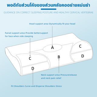 TRUFFLE หมอนหนุนเมมโมรี่ รุ่น DORINA-03 ขนาด 30x50x10 ซม. สีขาว