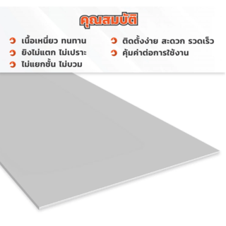 ห้าห่วง บอร์ดผนัง 0.6x120x240ซม. สีธรรมชาติ