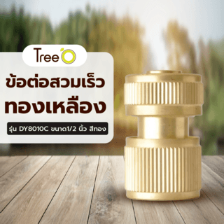 Tree O Plus ข้อต่อสวมเร็ว ทองเหลือง รุ่นDY8010C ขนาด1/2” สีทอง