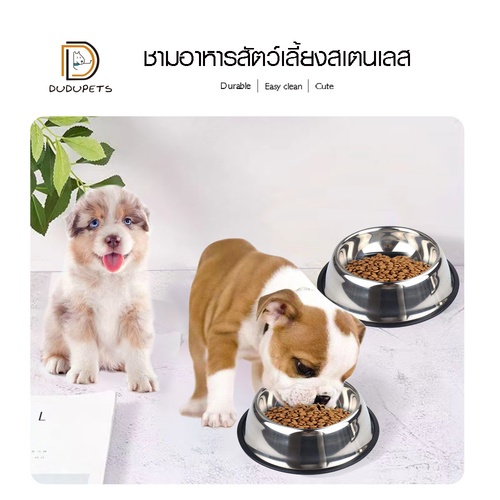 DUDUPETS ชามอาหารสัตว์เลี้ยงสเตนเลส 22.5x29.5x6ซม. รุ่น COCHO-10