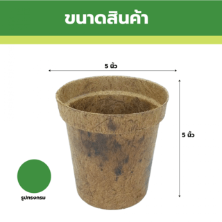 DAMRONGSILP กระถาง ใยมะพร้าว 5นิ้ว (กลม)