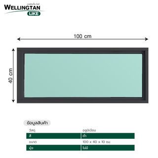 WELLINGTAN (LIKE) ช่องแสงอะลูมิเนียม 100 x 40 ซม. สีดำ