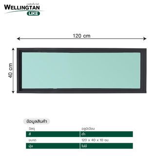 WELLINGTAN (LIKE) ช่องแสงอะลูมิเนียม 120 x 40 ซม. สีดำ