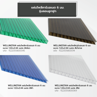 WELLINGTAN แผ่นโพลีคาร์บอเนต 6 มม. ขนาด 1220x2440 มม.สีน้ำตาล