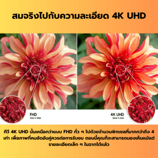 SAMSUNG โทรทัศน์ UHD TV ขนาด 75 นิ้ว UA75AU7700KXXT สีดำ