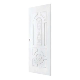 PROFESSIONAL DOOR บานประตูเหล็ก H1W 80x200ซม.