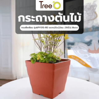 Tree‘O กระถางต้นไม้ทรงสี่เหลี่ยม รุ่น6PY015-RD ขนาด25x22ซม. (10นิ้ว) สีแดง