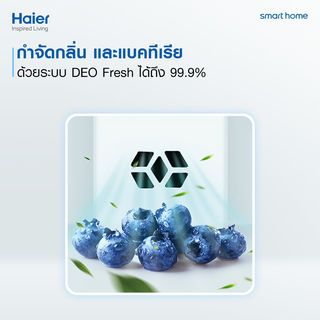 HAIER ตู้เย็น 2 ประตู 12.6 คิว  HRF-350MNI สีดำ