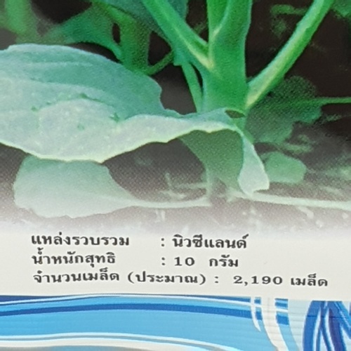 เจียไต๋ เมล็ดพันธุ์- คะน้ายอด