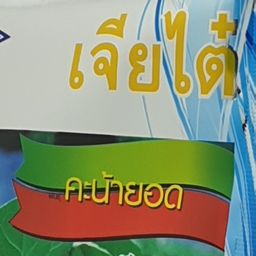 เจียไต๋ เมล็ดพันธุ์- คะน้ายอด