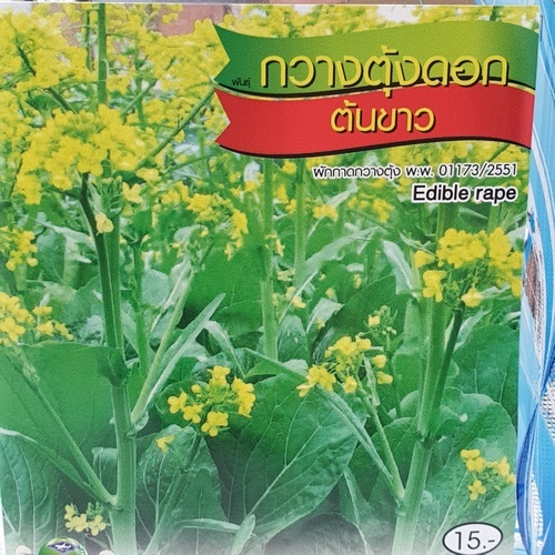 เจียไต๋ เมล็ดพันธุ์- กวางตุ้งดอก(ต้นขาว)