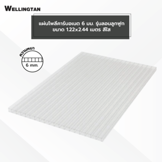 WELLINGTAN แผ่นโพลีคาร์บอเนต 6 มม. ขนาด 1220x2440 มม. สีใส