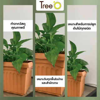 Tree O กระถางพลาสติก  รุ่น KD2005 ขนาด 10นิ้ว สีน้ำตาล