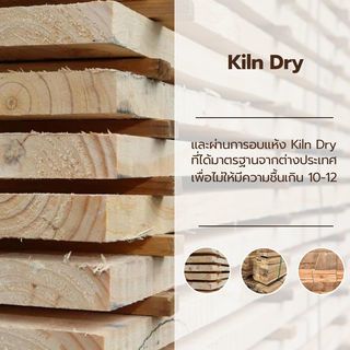 ประตู Eco Pine-002 (ไม้สนนิวซีแลนด์) 90x200 cm.