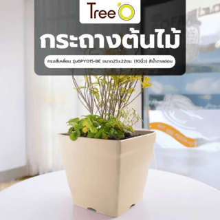 Tree‘O กระถางต้นไม้ทรงสี่เหลี่ยม รุ่น6PY015-BE ขนาด25x22ซม. (10นิ้ว) สีน้ำตาลอ่อน