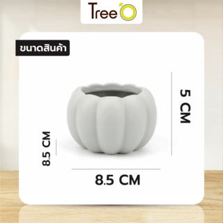 Tree’O กระถางเซรามิก รุ่น 4LY-008 สีเขียว