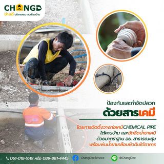 บริการกำจัดแมลงระบบ PIPE&Soil แบบวางท่ออัดเคมี (ขนาดพื้นที่ไม่เกิน 59 ตร.ม.เหมา)