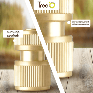 Tree O Plus ข้อต่อสวมเร็ว ทองเหลือง รุ่นDY8010C ขนาด1/2” สีทอง