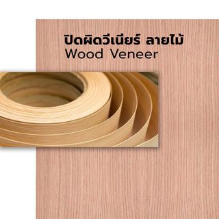 ประตูไม้อัดสัก ภายใน 80x180 MDF