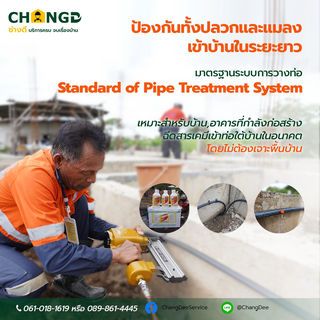 บริการกำจัดแมลงระบบ PIPE&Soil แบบวางท่ออัดเคมี (ขนาดพื้นที่ไม่เกิน 59 ตร.ม.เหมา)