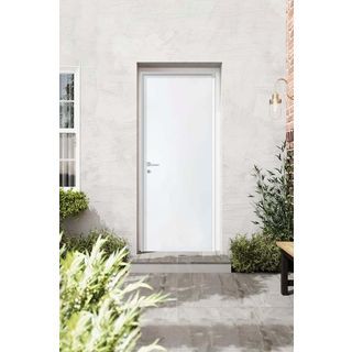 PROFESSIONAL DOOR ประตูเหล็ก D2W 90x200 ซม. สีขาว เจาะ