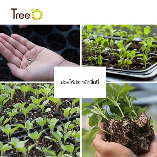 Tree’O ถาดเพาะชำ 105 หลุม  รุ่นJN105 35.5x54.5x3.8 ซม.  สีดำ