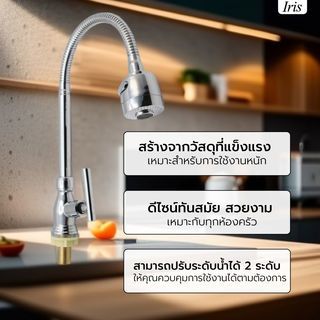 ក្បាលរ៉ូប៊ីណេអាងលាងចាន Counter ទង់ដែង ស៊េរី IR-52201