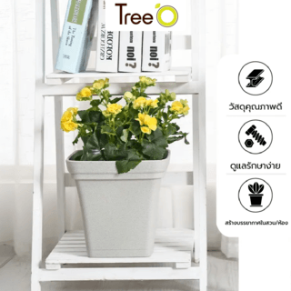 Tree  O กระถางต้นไม้ รุ่น 6PY022-WH ขนาด 15 x 15 x 14 ซม. (6นิ้ว) สีขาว