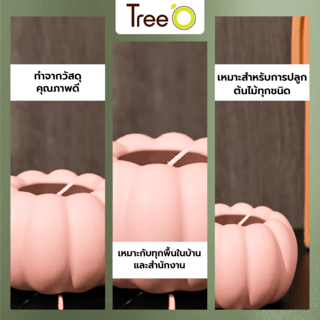 Tree’O กระถางเซรามิก รุ่น 4LY-004 สีชมพู