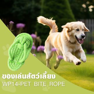 DUDUPETS ของเล่นสัตว์เลี้ยง รุ่นWP14 ขนาด 5X5X1.6ซม.สีเขียว